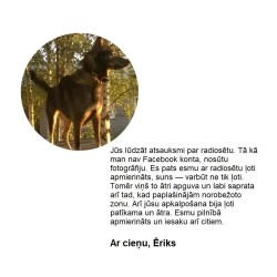PetSafe Radiosēta Delux