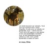 PetSafe Radiosēta Delux